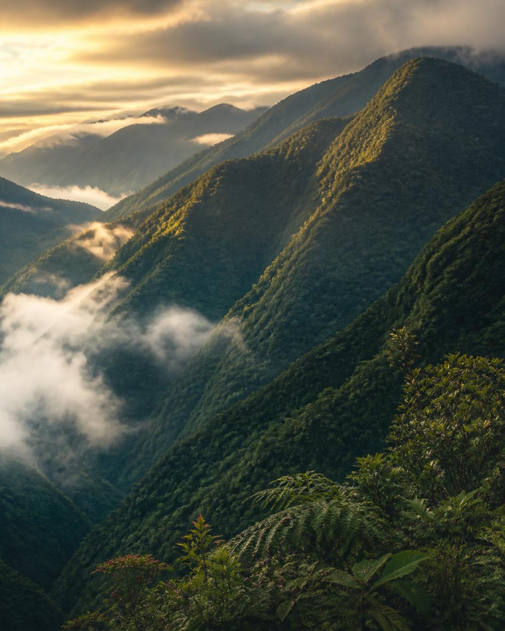 Green Andean mountain range wrapped in mist and golden sunrise light