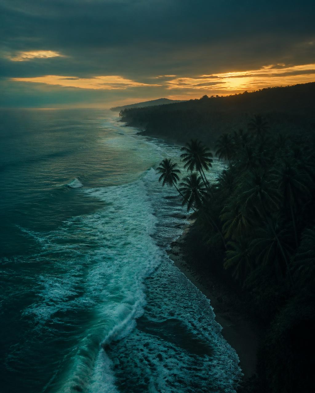 Tropical ocean at dusk meeting a dark shoreline with silhouetted palm trees